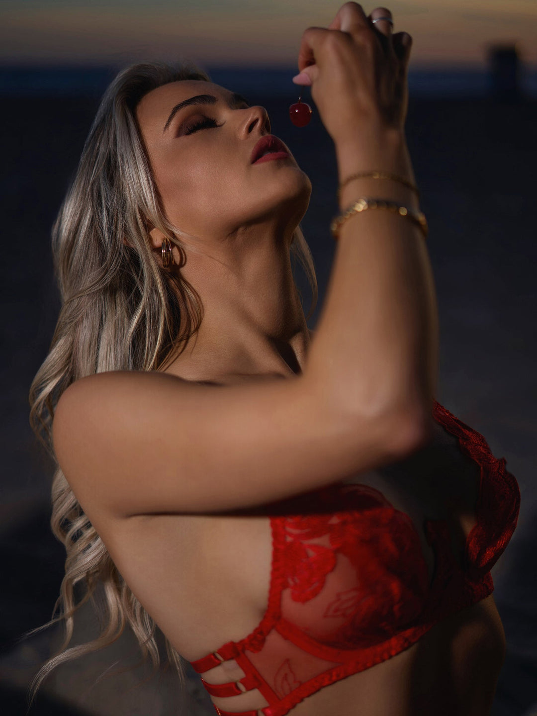Red Embroidered Sexy Push Up Lingerie Set - Yeahcir